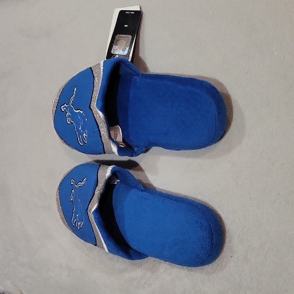 NFL Detroit Lions Glitter Slide - Picture 5 of 15